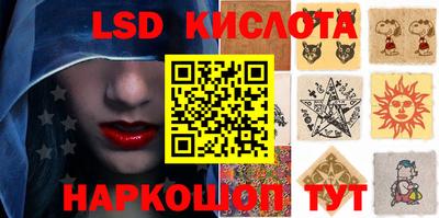PSILOCYBIN Гатчина
