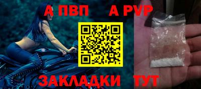 PSILOCYBIN Гатчина