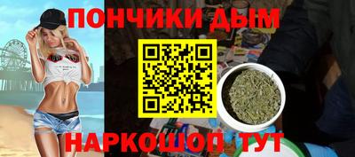 PSILOCYBIN Гатчина