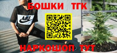 не бодяженный Гай