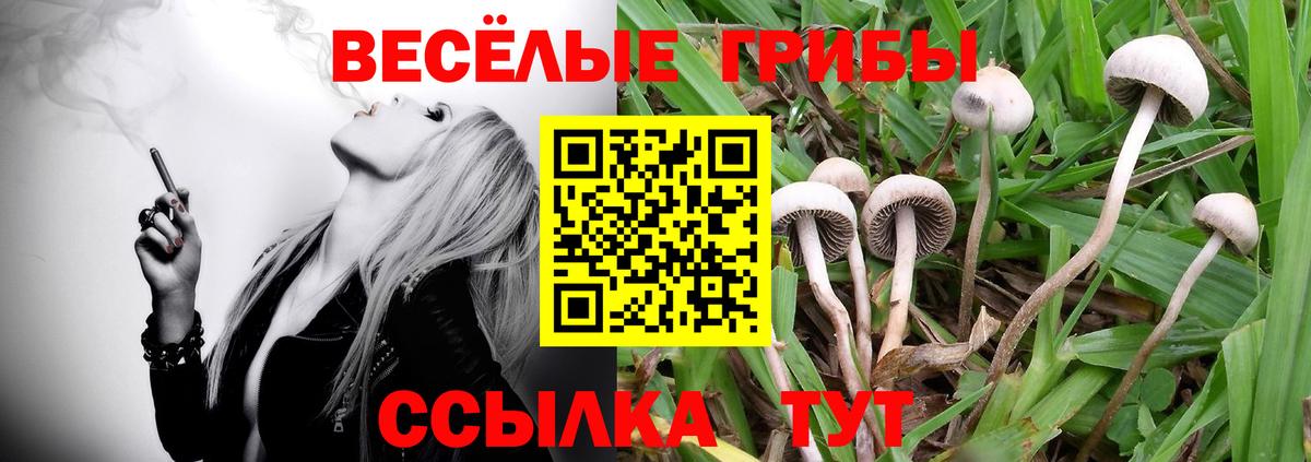Псилоцибиновые грибы мицелий Новый Уренгой